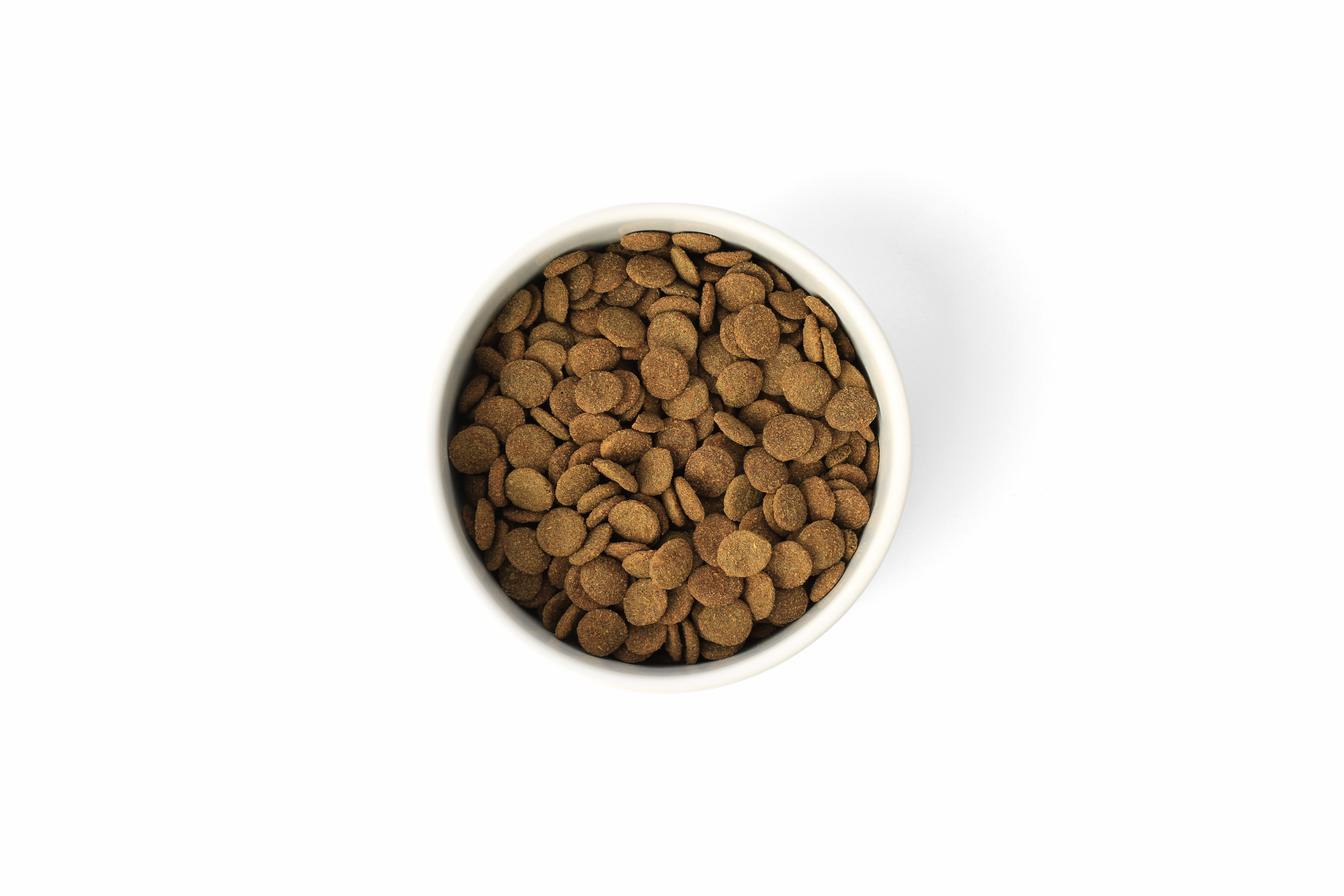 SavourLife - Grain Free Turkey CarePlus Lean Dog Dry Food (2.5kg)