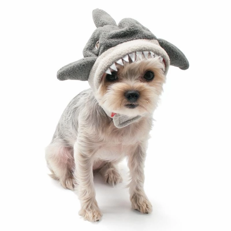 Shark Dog Hat Grey