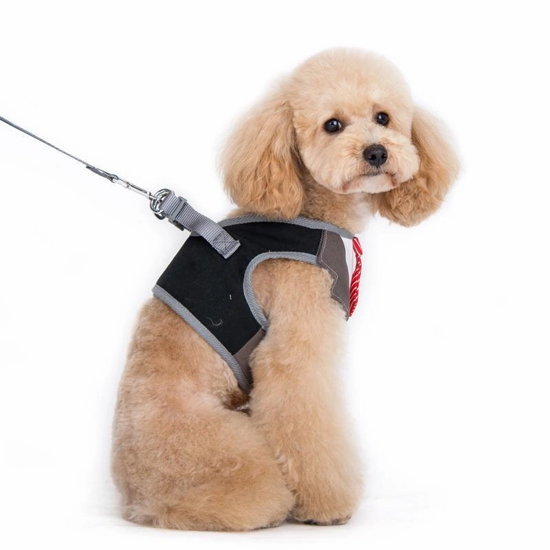 SnapGo Necktie Dog Harness Vest