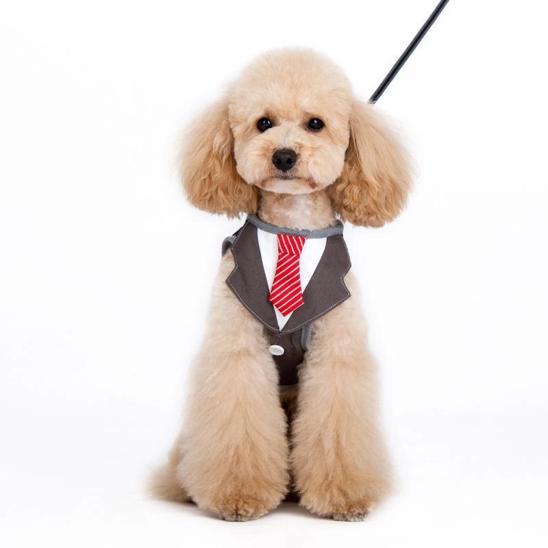 SnapGo Necktie Dog Harness Vest