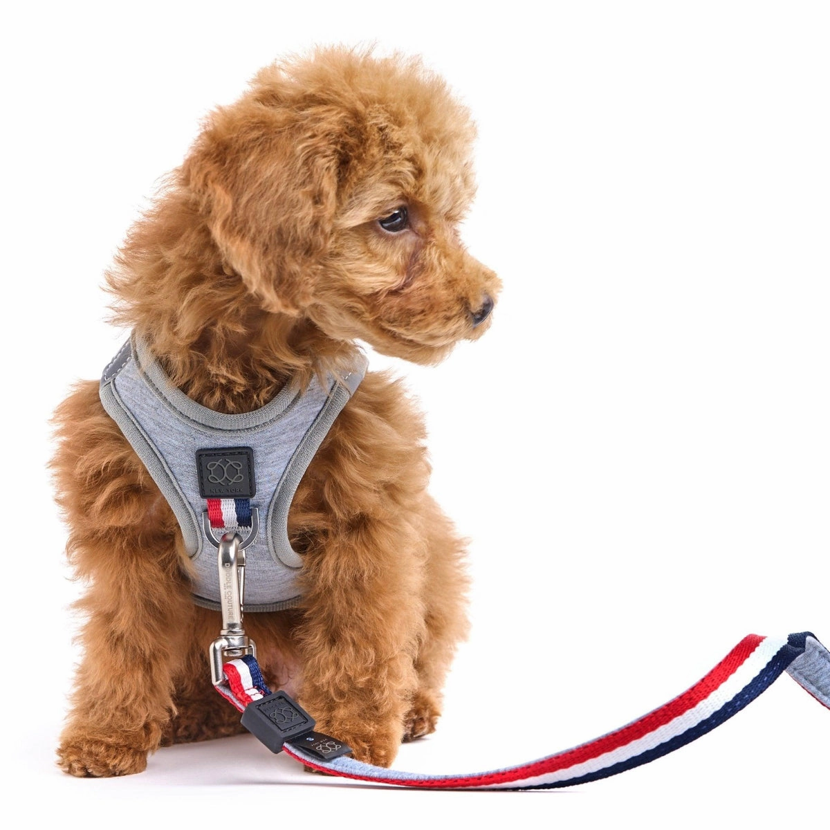 SoHo Dog Harness Champion Grey