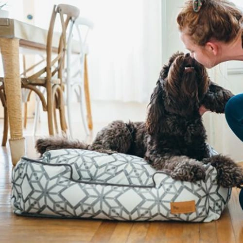 Solstice Lounge Dog Bed Snowy Day