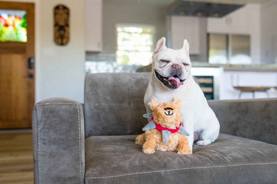 SPIKED! by P.L.A.Y., Squeaky Plush Dog Toy, Biff the Dog Senior