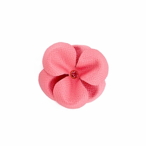 Spring Rhinestone Leather Dog Flowerette Slider Strawberry Ice