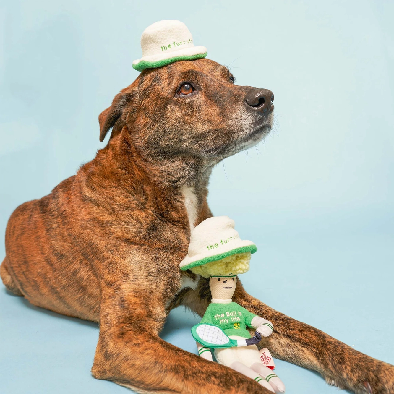Squeaky Interactive Hooman Nosework Dog Toy, Tennis