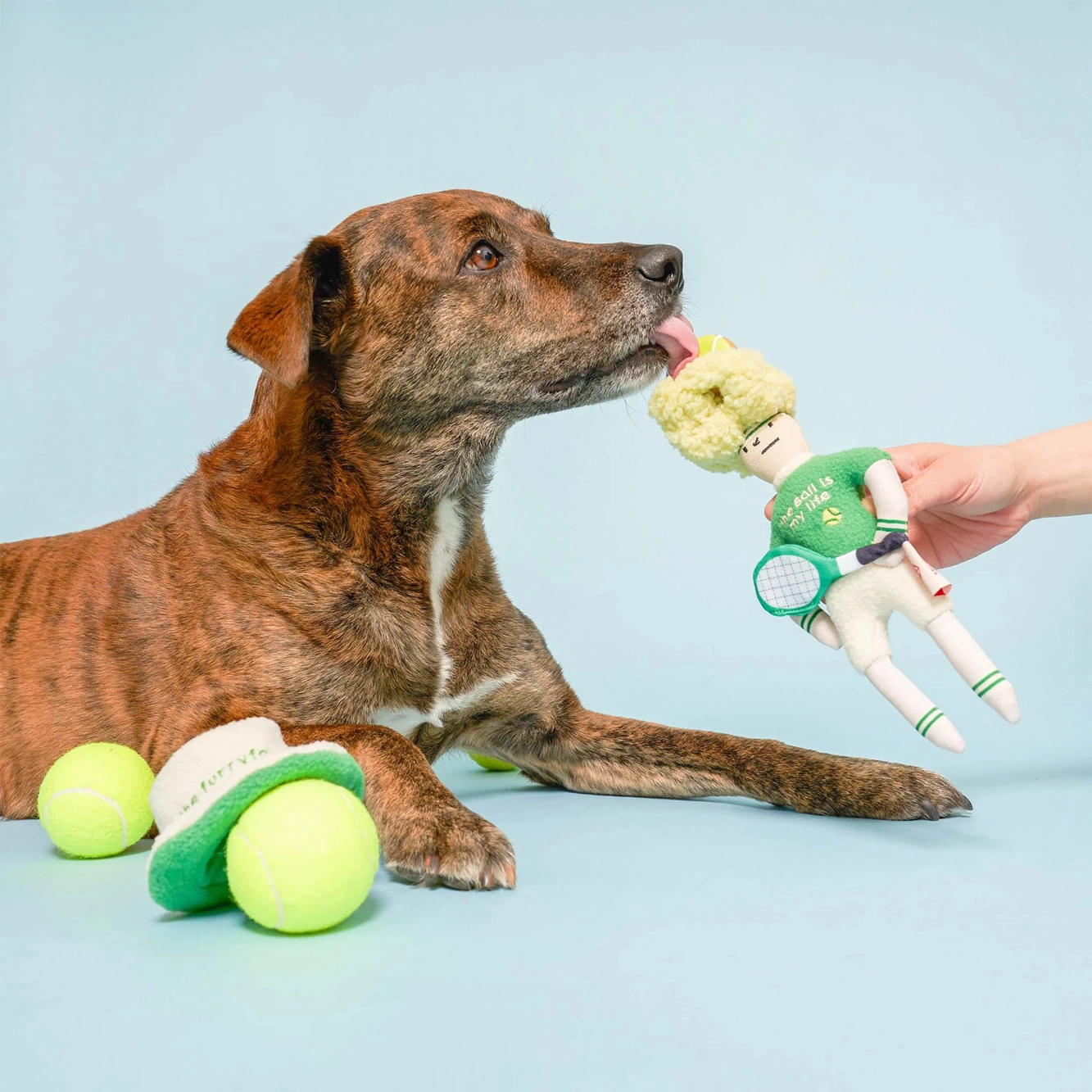 Squeaky Interactive Hooman Nosework Dog Toy, Tennis