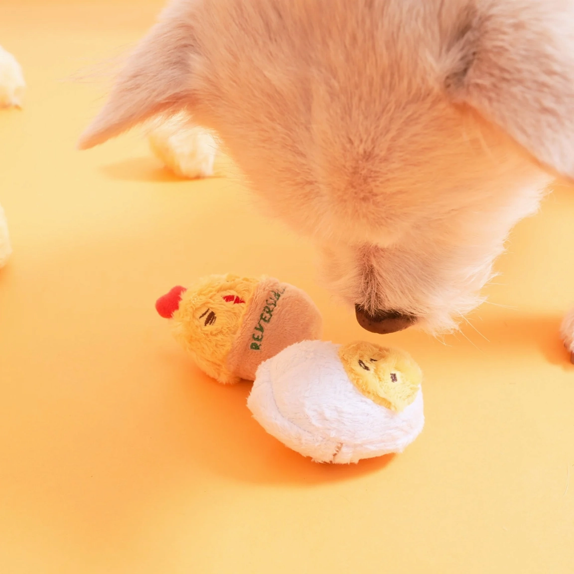 Squeaky Interactive Nosework Dog Toy, AAA  Egg