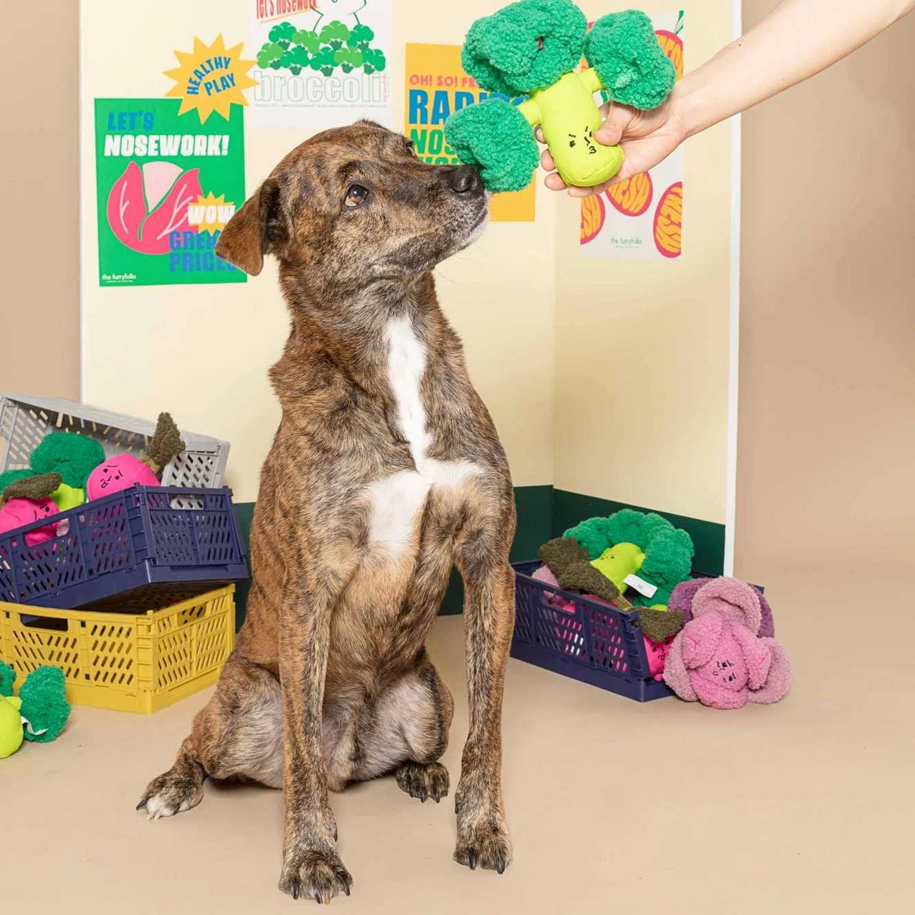 Squeaky Interactive Nosework Dog Toy, Broccoli