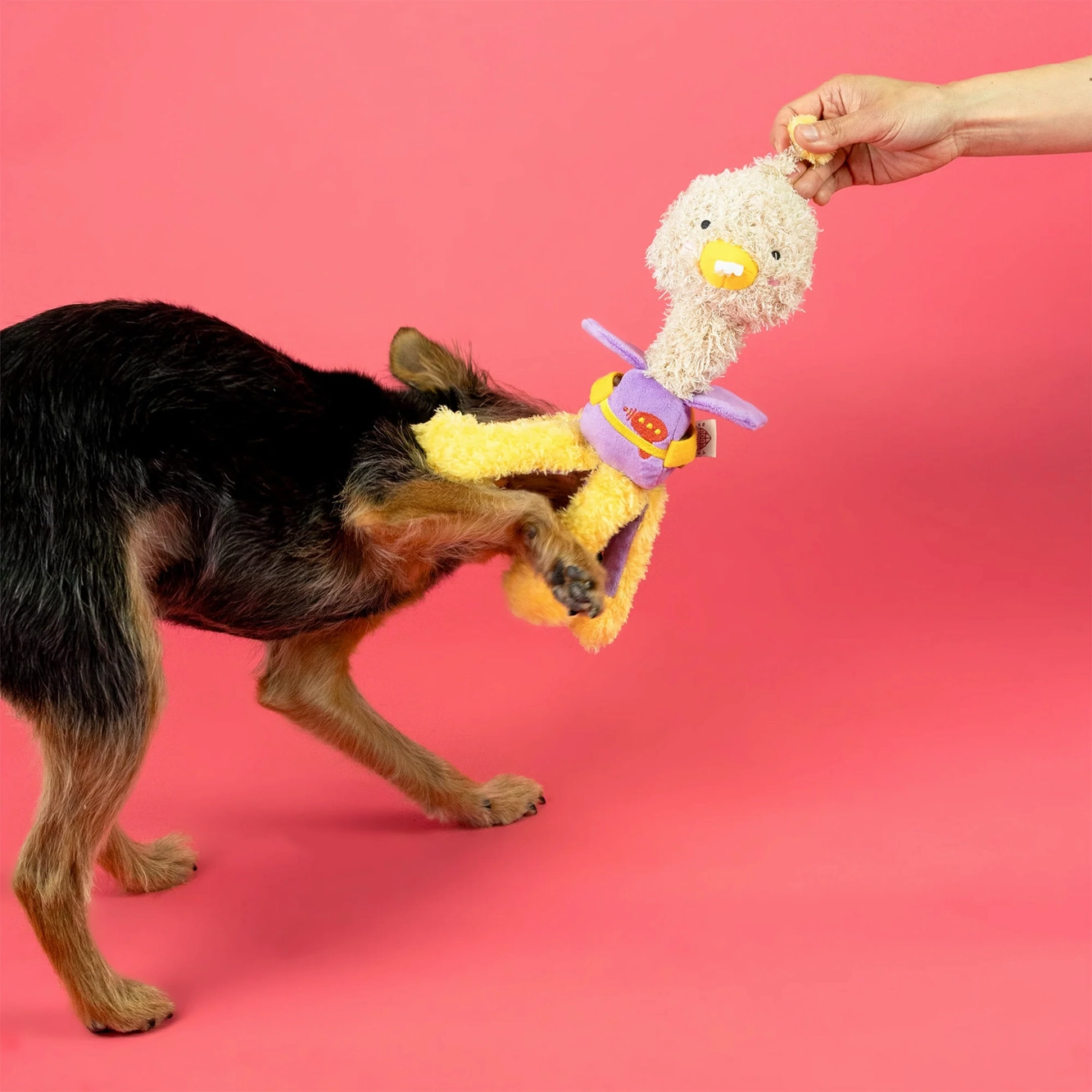 Squeaky Interactive Nosework Dog Toy, OstriKraken