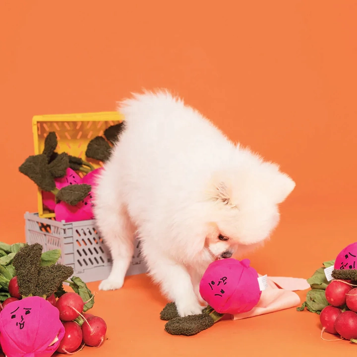 Squeaky Interactive Nosework Dog Toy, Radish