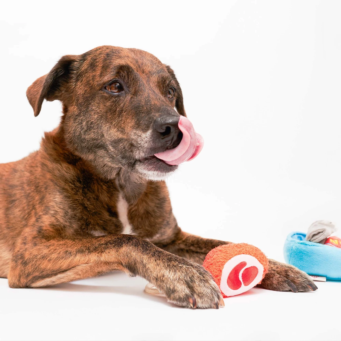 Squeaky Interactive Nosework Dog Toy, Tinned Jamn