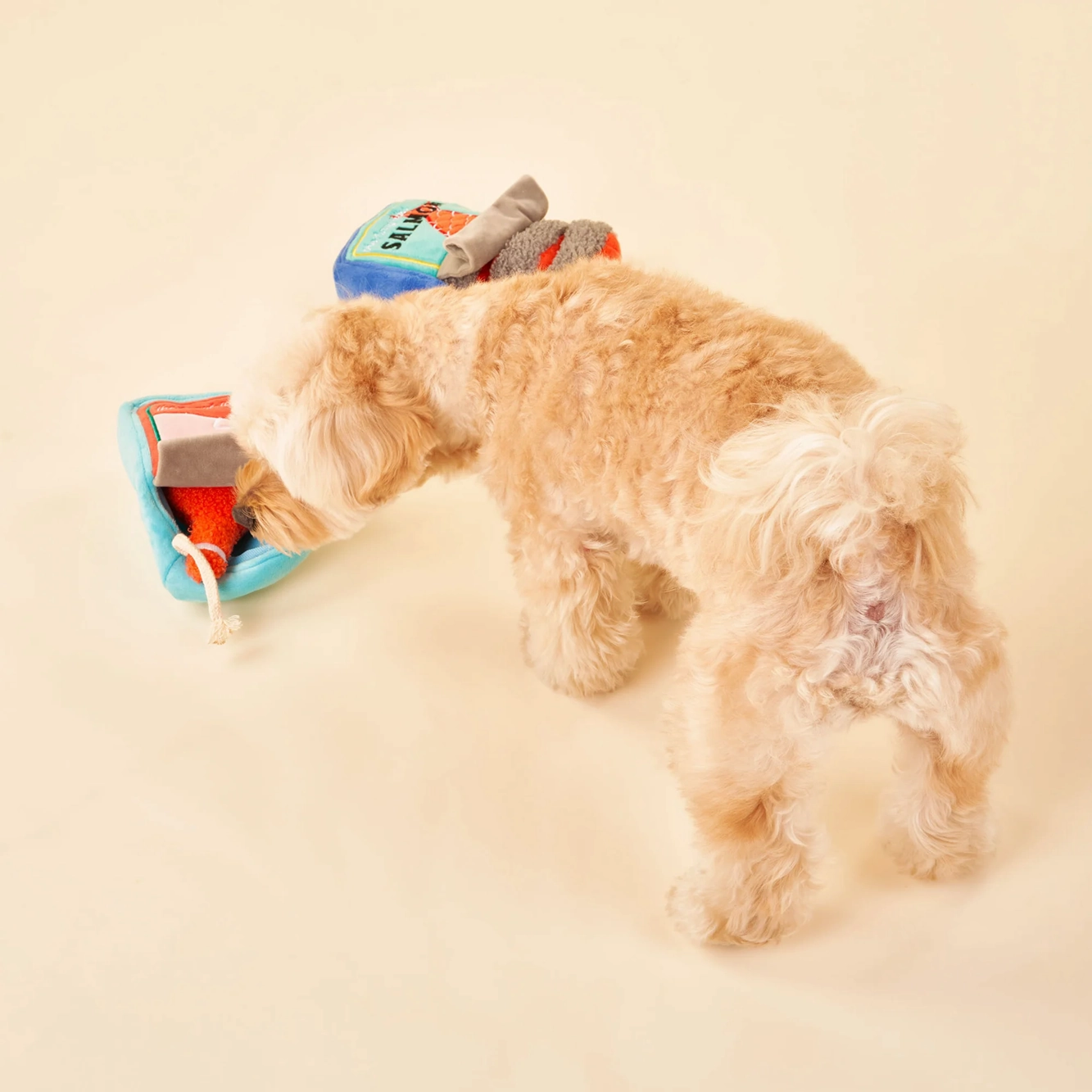 Squeaky Interactive Nosework Dog Toy, Tinned Jamn