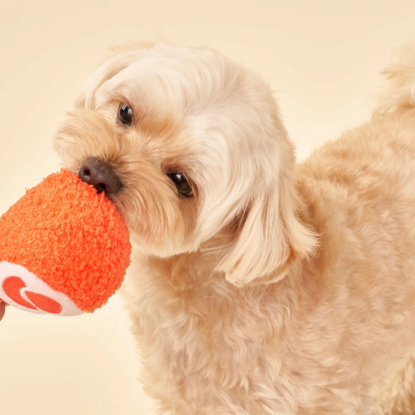 Squeaky Interactive Nosework Dog Toy, Tinned Jamn