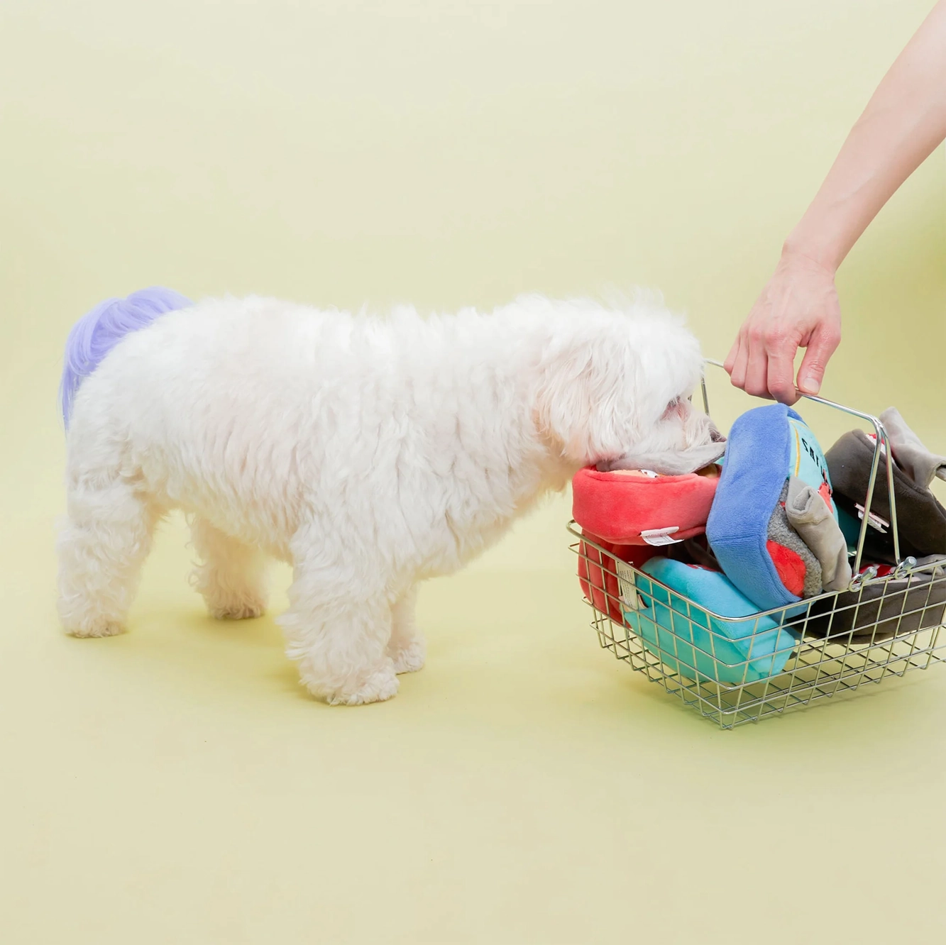 Squeaky Interactive Nosework Dog Toy, Tinned Jamn