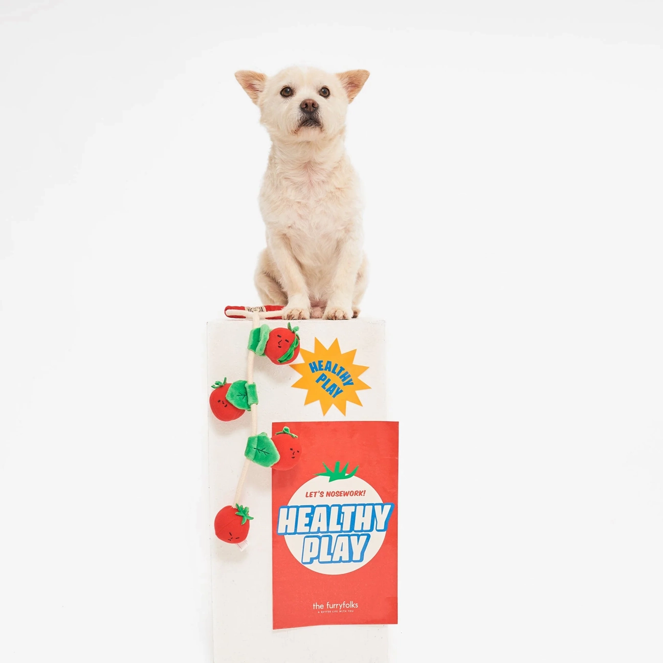 Squeaky Interactive Nosework Rope Pull Dog Toy, Cherry Tomato