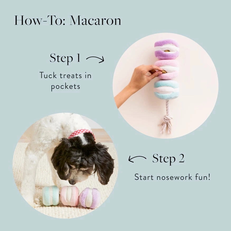 Squeaky Plush Interactive Snuffle Dog toys, Macarons