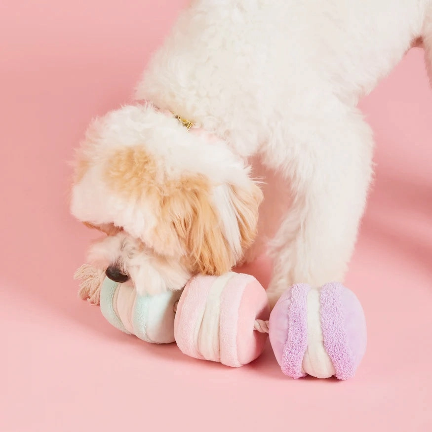 Squeaky Plush Interactive Snuffle Dog toys, Macarons