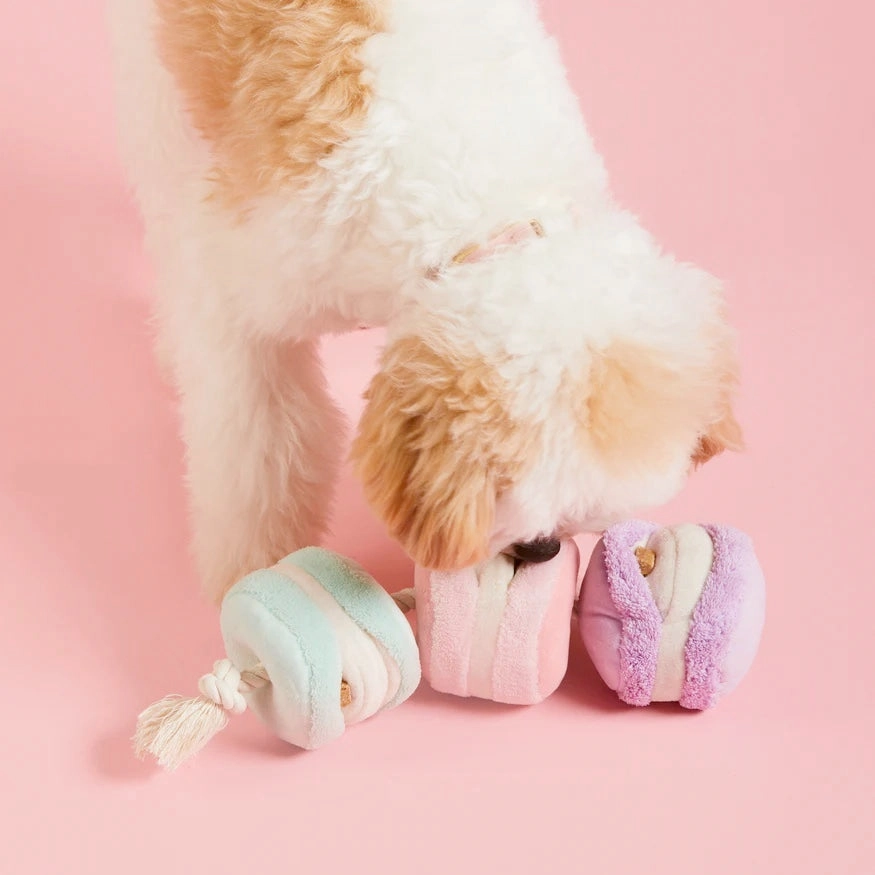 Squeaky Plush Interactive Snuffle Dog toys, Macarons