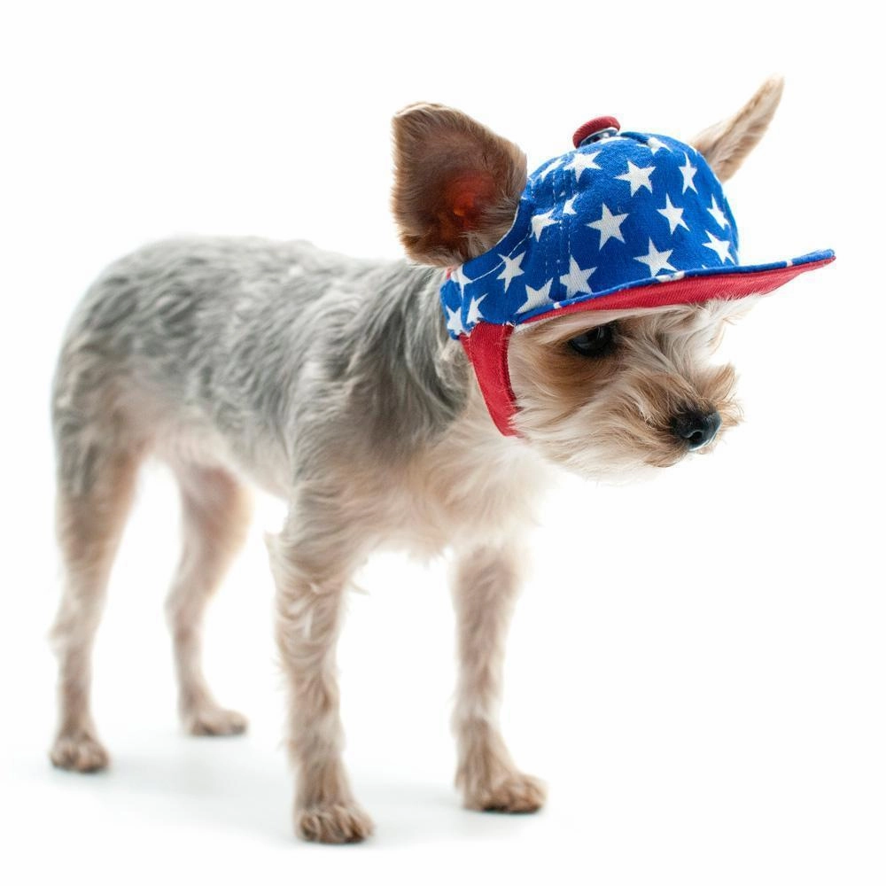 Star Dog Hat