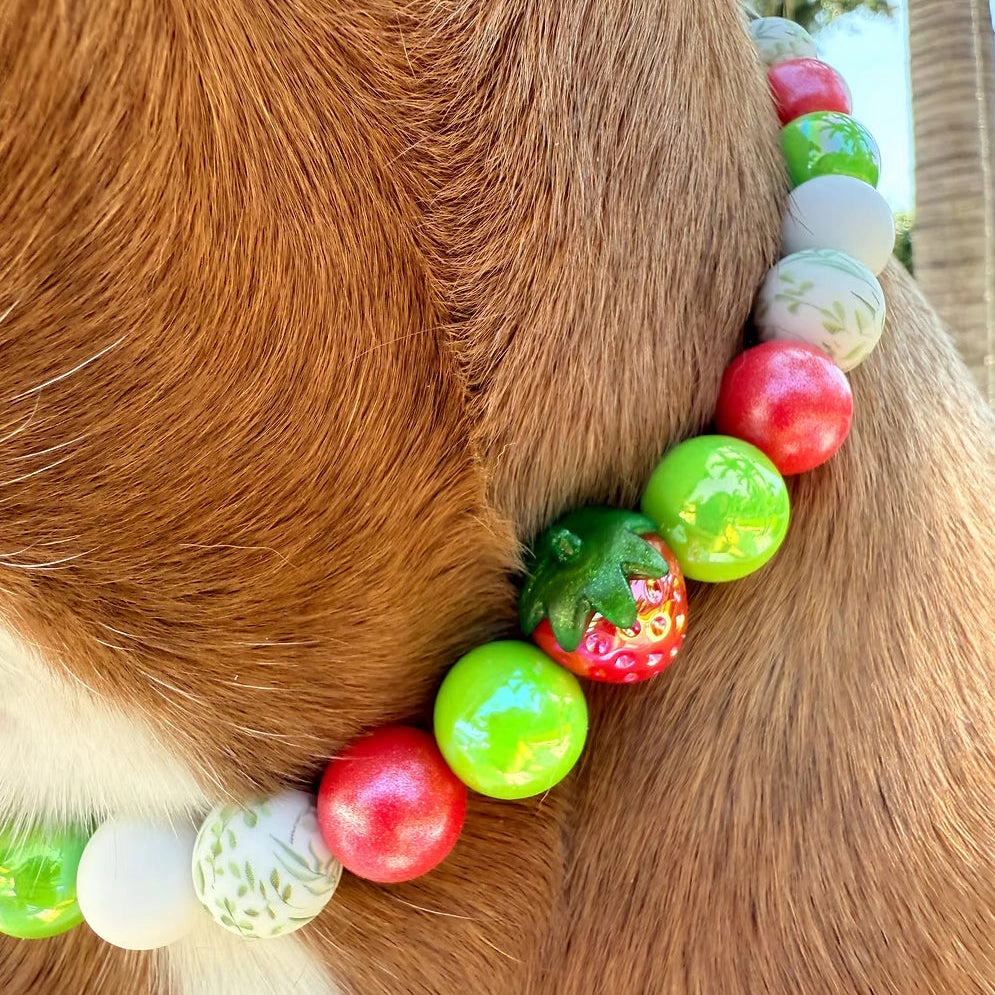 Strawberry Fields Beaded Pet Collar