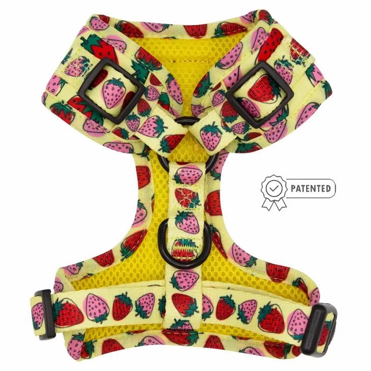 Strawberry Fields Furever Adjustable Harness