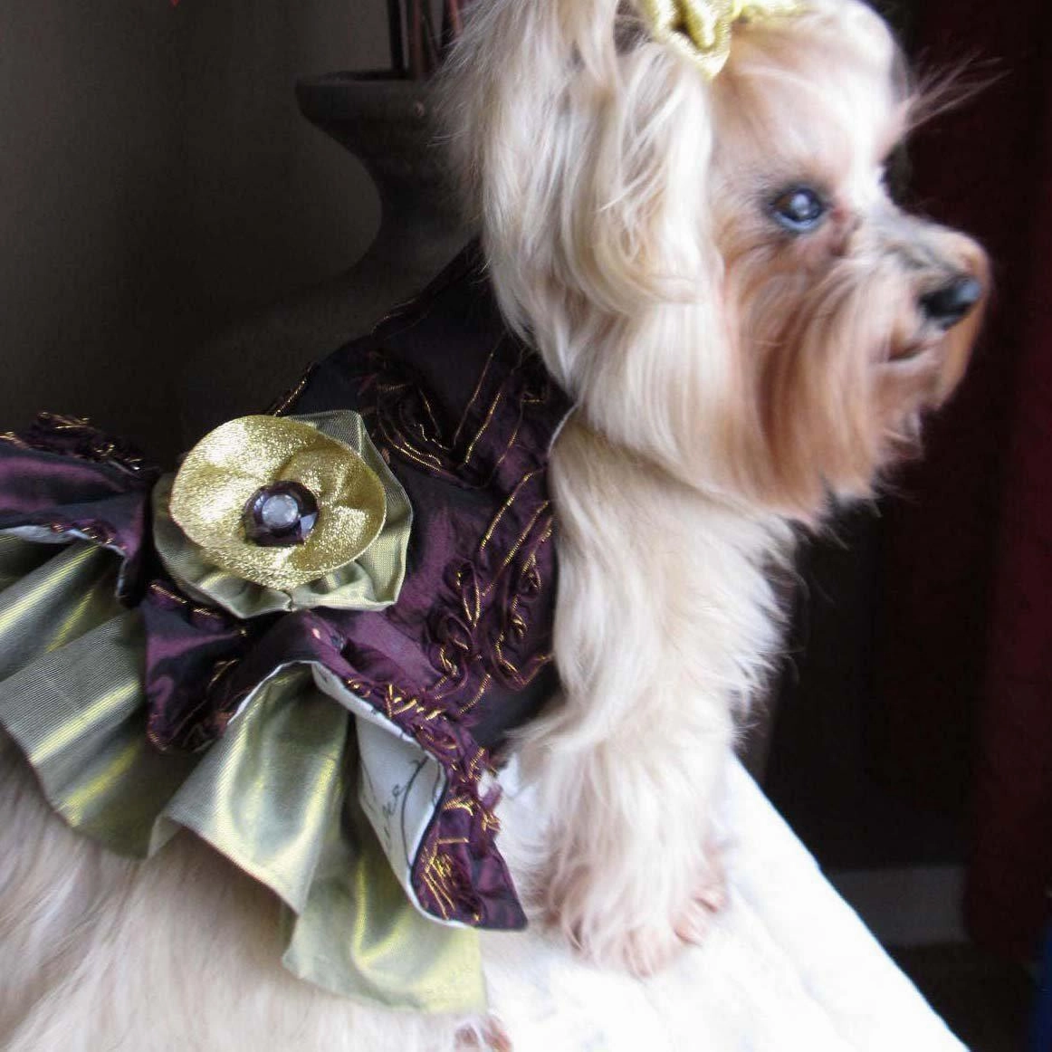 Sugar Plum Fairy Dog Harness Dress