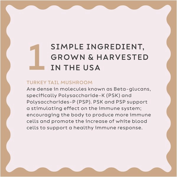 Super Snouts Turkey Tail Powder Supplements for Dogs and Cats