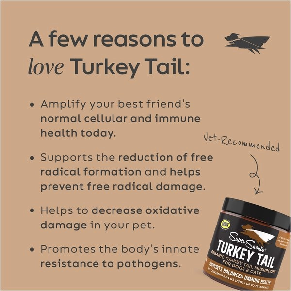 Super Snouts Turkey Tail Powder Supplements for Dogs and Cats