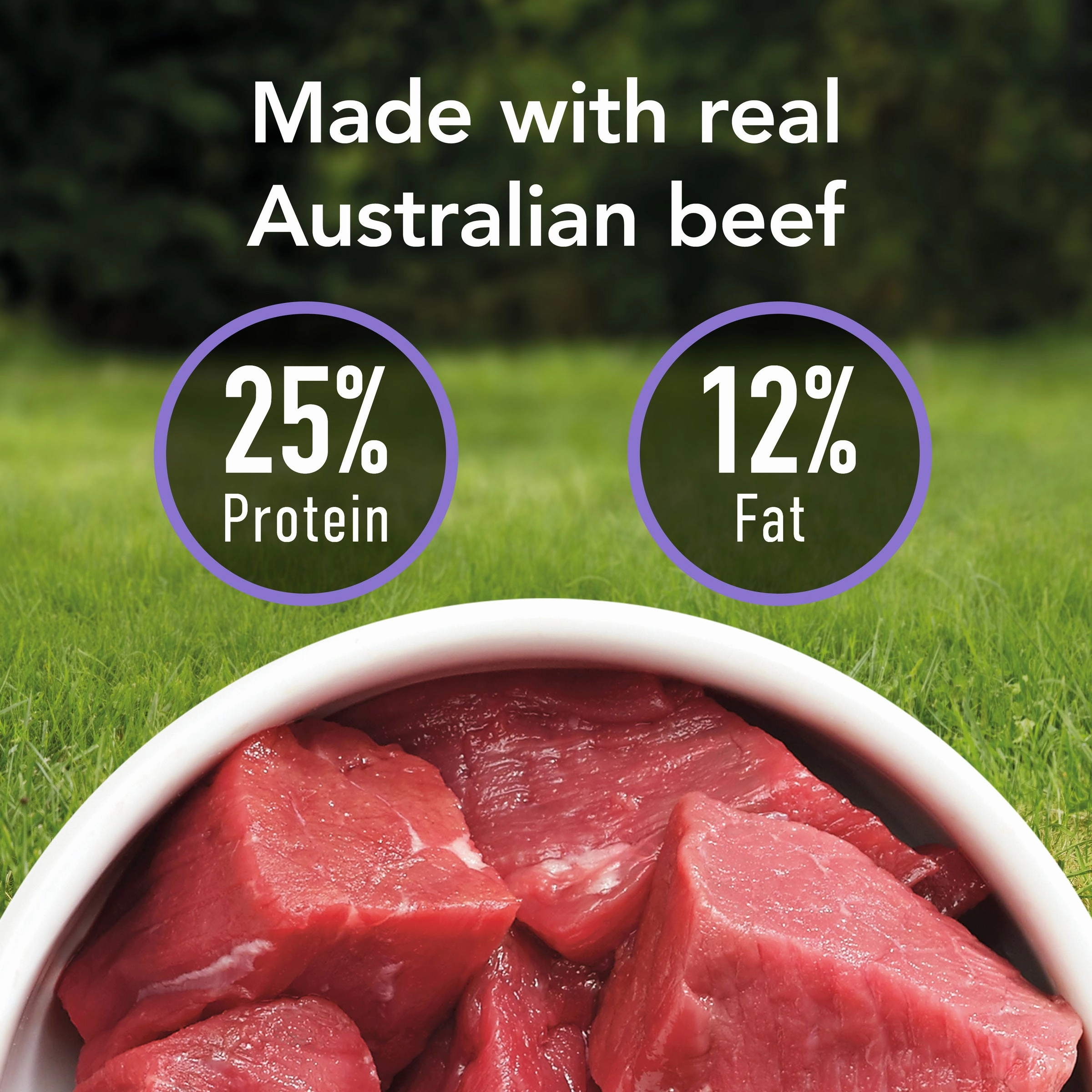 Supercoat - Adult Small Breed with Beef Dog Dry Food (2.8kg)