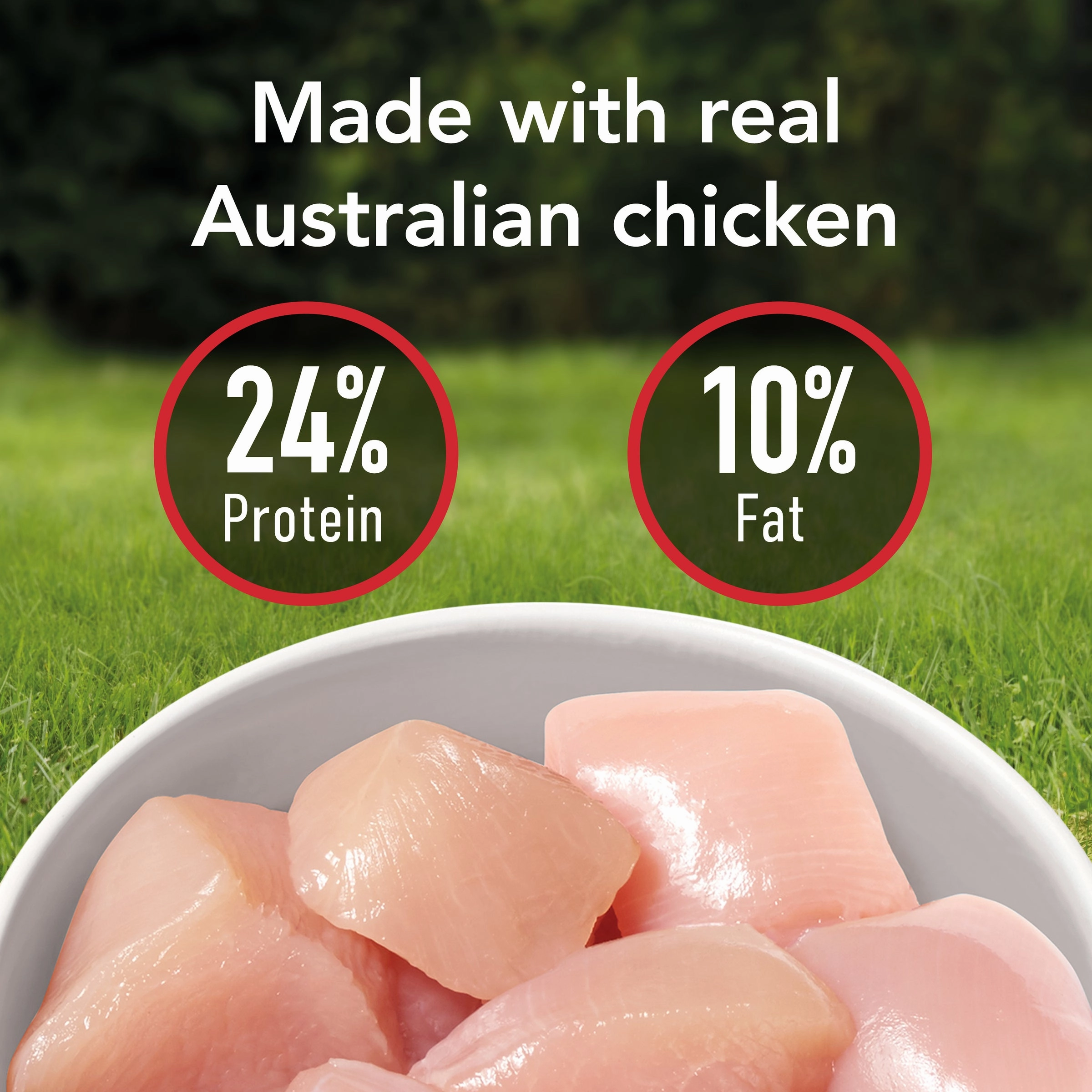 Supercoat - Adult with Chicken Dog Dry Food (2.8kg)