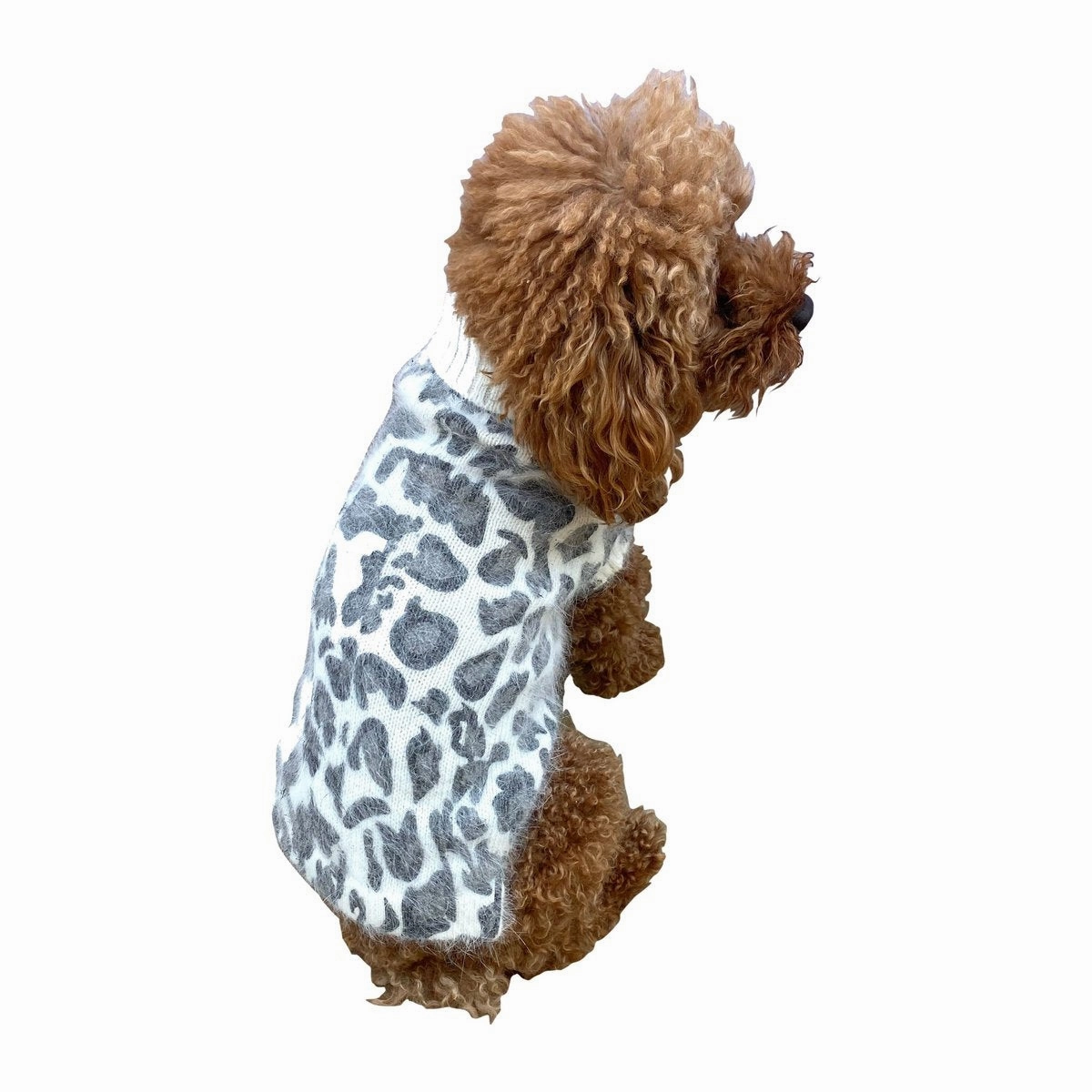 Superstar Leopard Dog Sweater Grey On Ivory