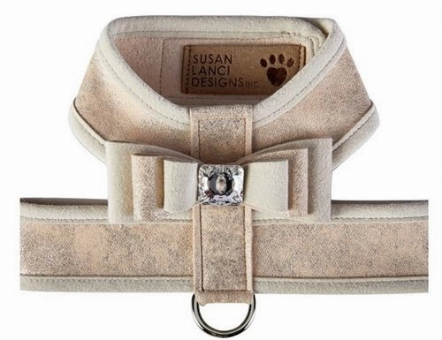 Susan Lanci Champa Glitzerati Really Big Bow Tinkie Harness with Champagne Trim