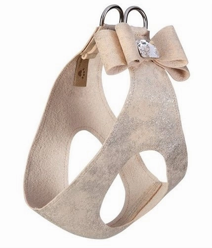 Susan Lanci Champagne Glitzerati Big Bow Step in Harness