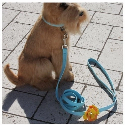Susan Lanci Darla Tinkie Harness