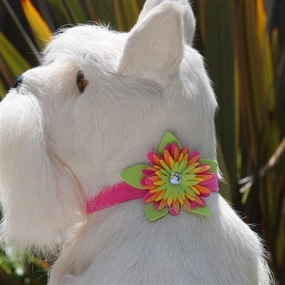 Susan Lanci Island Flower Collection 1/2" Collar- Many Colors