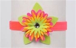Susan Lanci Island Flower Collection 1/2" Collar- Many Colors