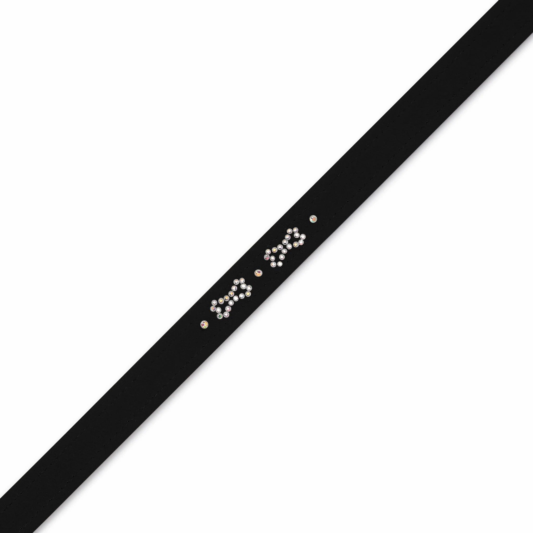 Susan Lanci Orion's Bone Leash in Many Colors