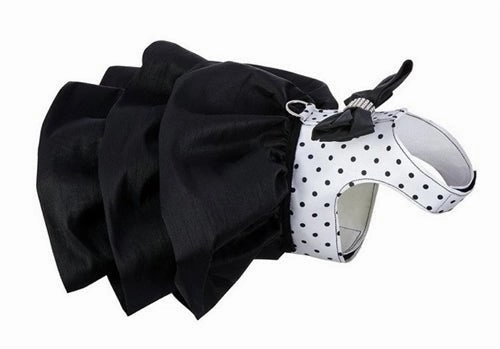 Susan Lanci Polkadot Madison Dress