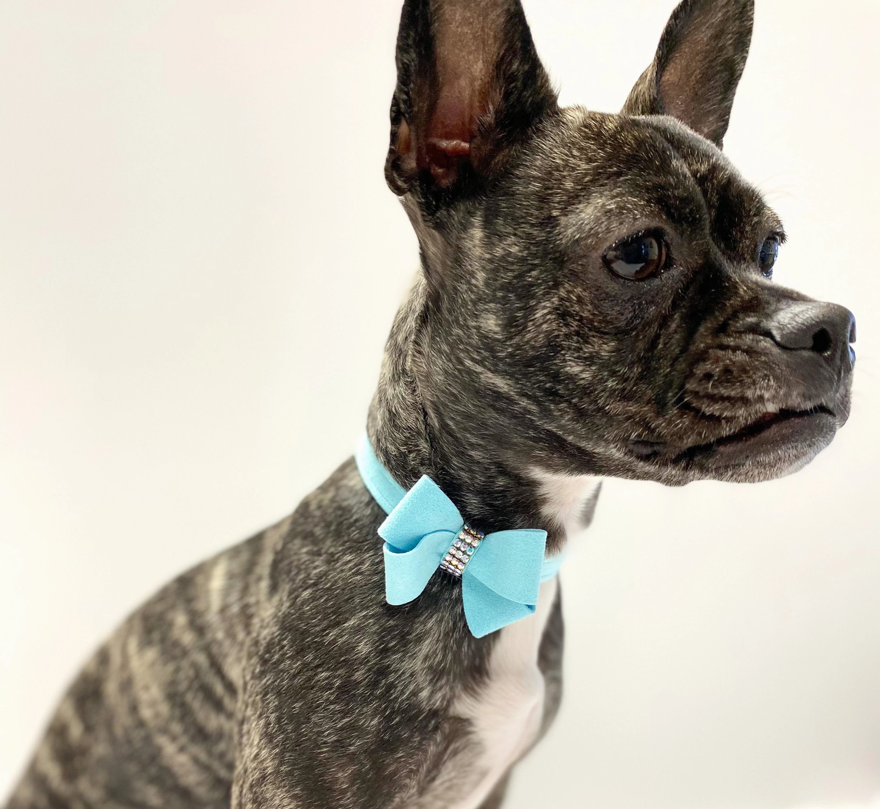 Susan Lanci Tiffi Blue AB Crystal Nouveau Bow Collar