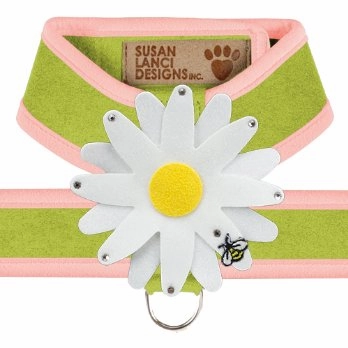 Susan Lanci Two Tone Lime Tinkie Harness with Puppy Pink Trim with Daisy