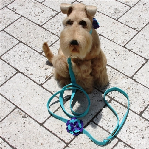 Susan Lanci Violet Tinkie Harness