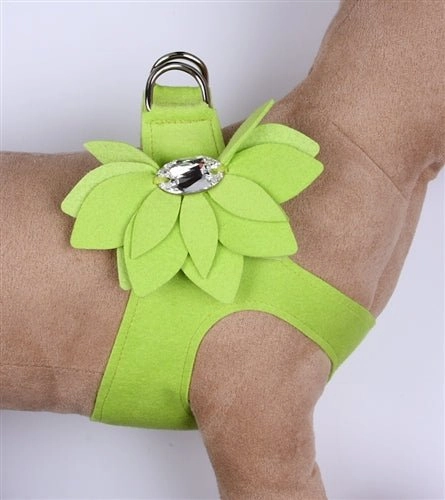 Susan Lanci Water Lily Collection Step-In Harness in Many Colors