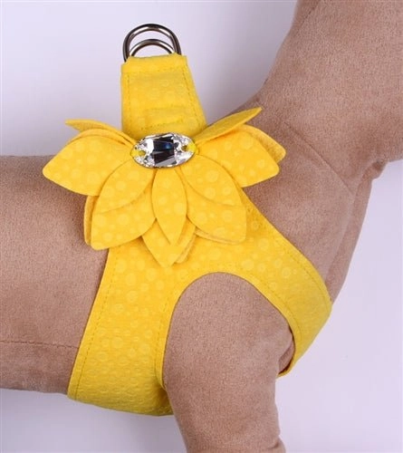Susan Lanci Water Lily Collection Step-In Harness in Many Colors