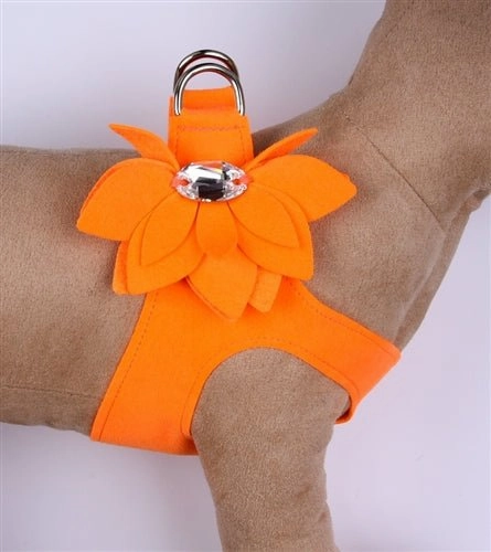 Susan Lanci Water Lily Collection Step-In Harness in Many Colors