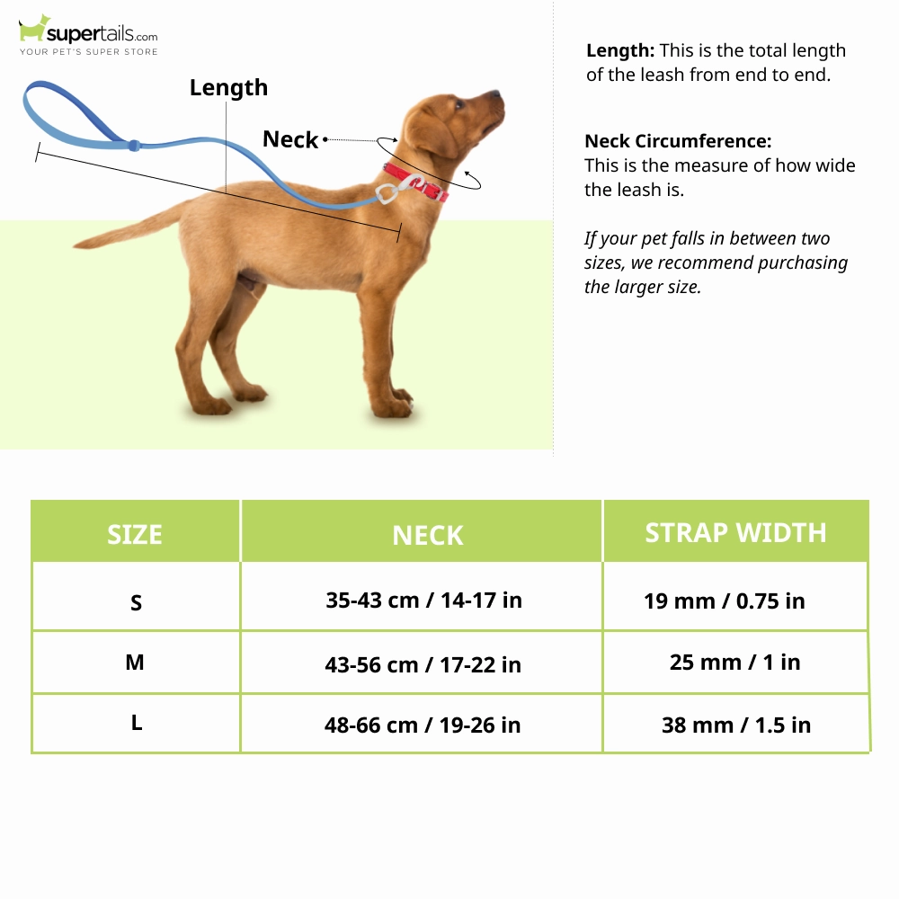 Tails to Tell Polyester Collar for Dogs (Blue)