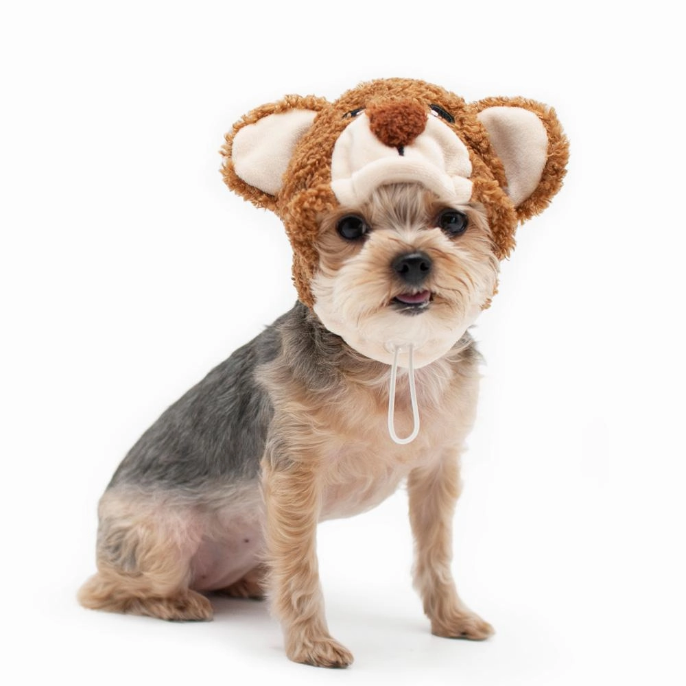 Teddy Bear Dog Hat