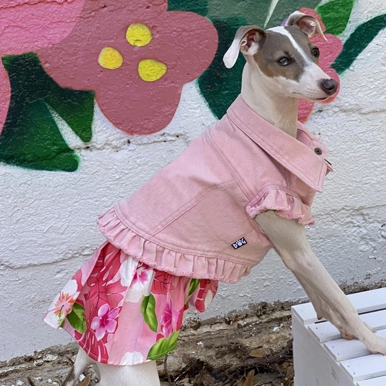The Audrey Hepburn Denim Dog Jacket With Ruffles