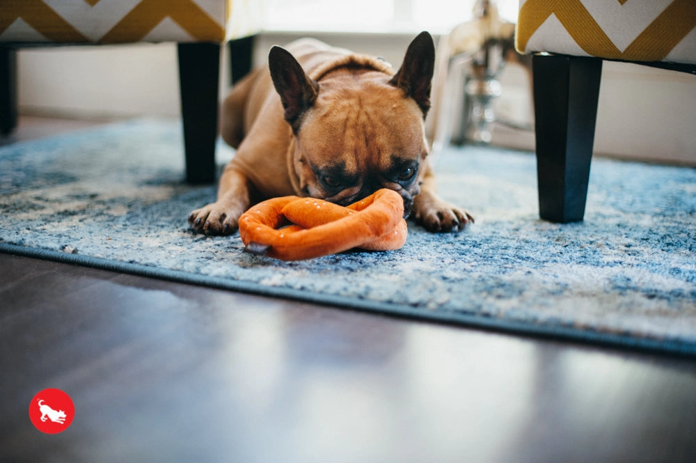 The International Classic, Squeaky Plush Dog Toy