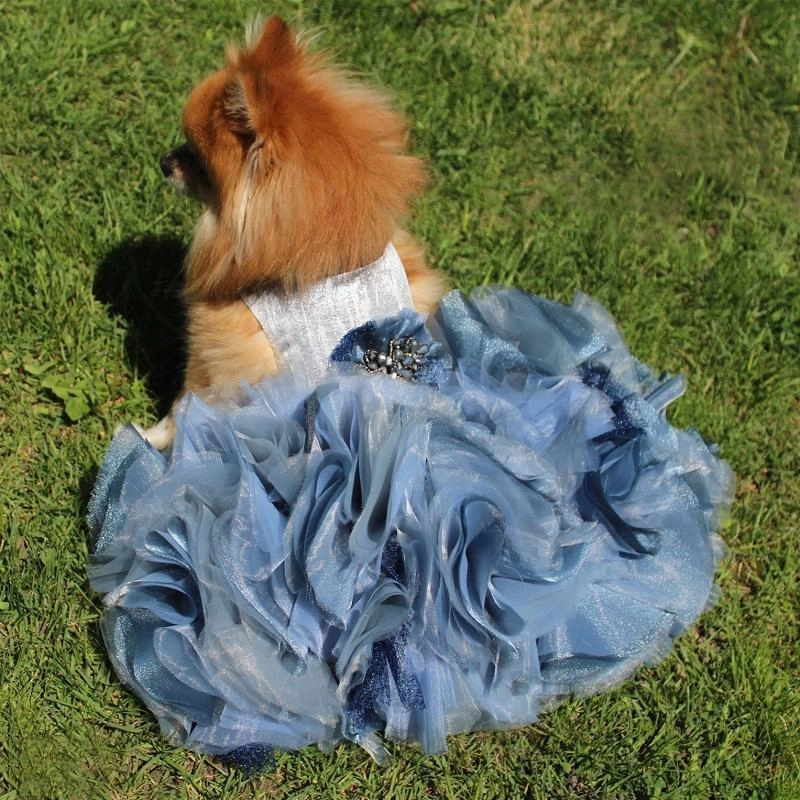 The New Yorker Dog Dress