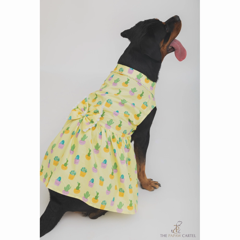 The Papaw Cartel Happy Cactus Dress for Dogs (Lime Yellow)